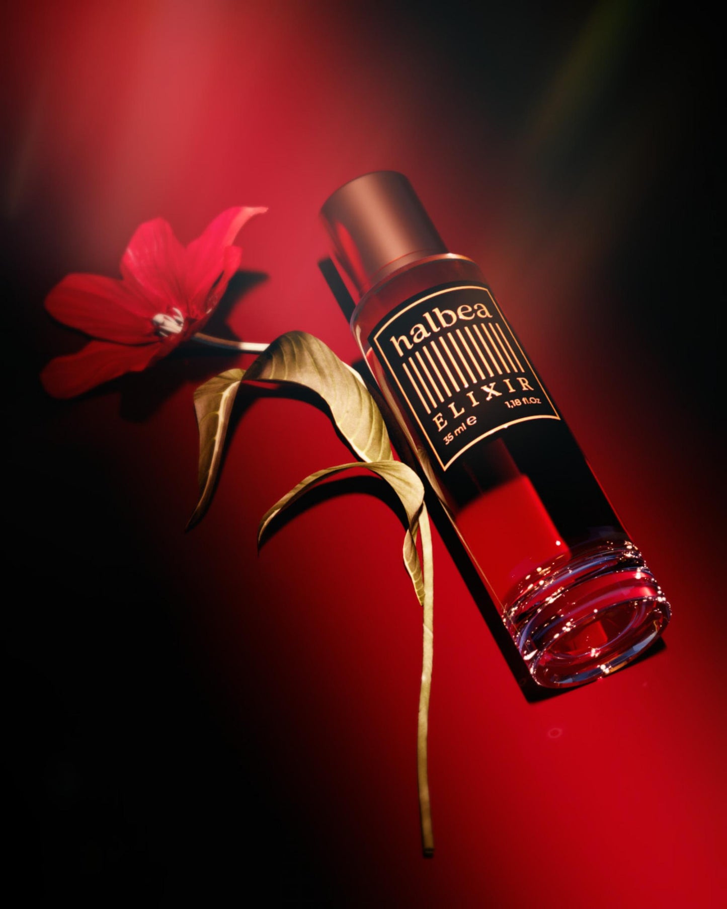 Sorgenta Halbea 259 Élixir – Mixte