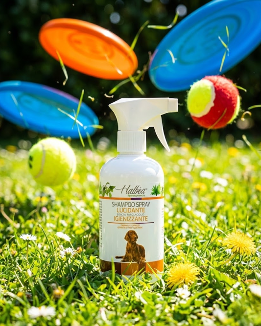 Glanz- und Hygienespray-Shampoo ohne Ausspülen 500 ml